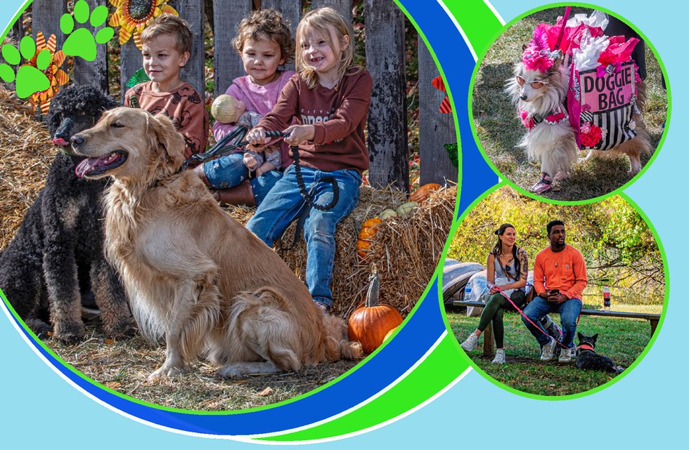 30th Annual Dogtober Fest KC Parent Magazine